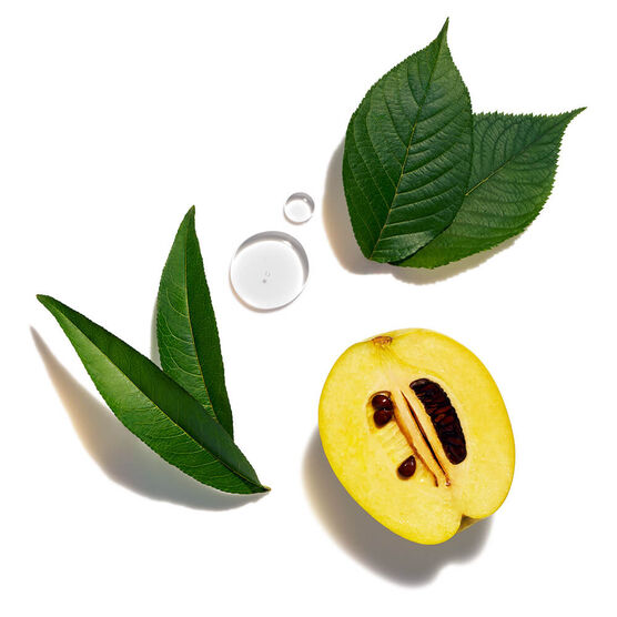 Creme Facial Noturno Shiseido Future Solution LX Total Regenerating